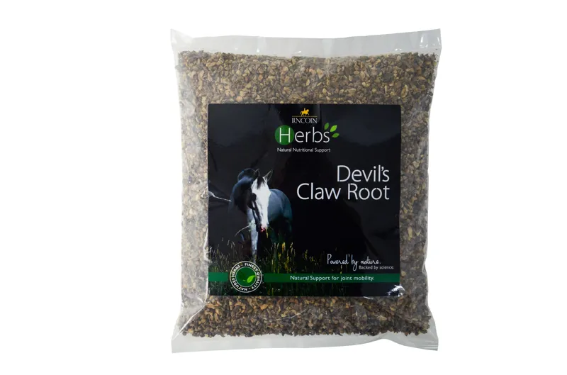 Lincoln Herbs Devils Claw Root - 1kg